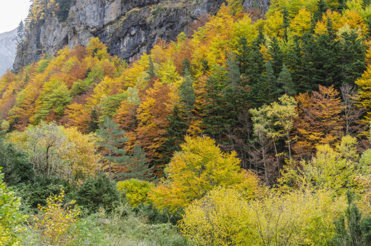 Huesca - valle de Bujaruelo 45.jpg